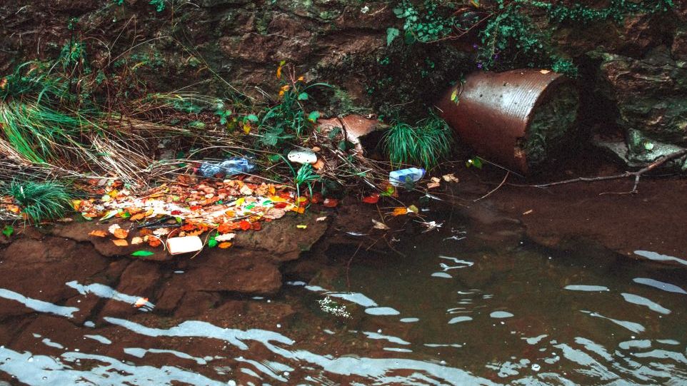 Plastikmüll am Seeufer