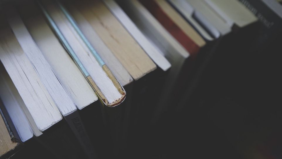 Mehrere Bücherrücken