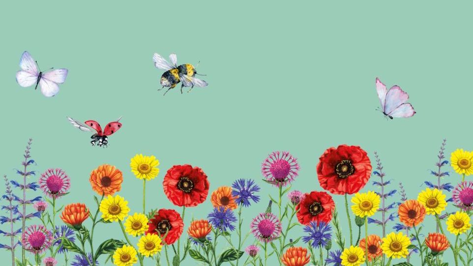 Illustration. Blumenwiese mit Bienen und Schmetterlingen