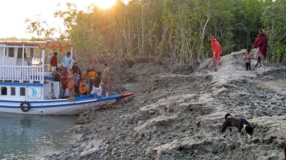 Boot mit einer Gruppe von Menschen legt an den Mangroven der Sundarbans an