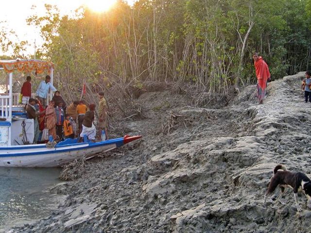 Boot mit einer Gruppe von Menschen legt an den Mangroven der Sundarbans an