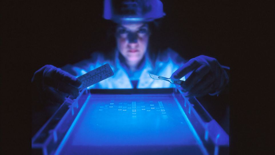 Forscherin bei der DNA-Fragmentierung
