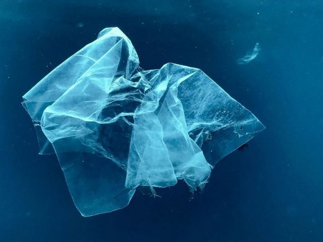 Eine Plastikfolie im Meer.