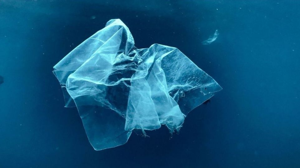 Eine Plastikfolie im Meer.