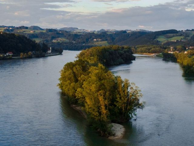 Donau-Aue
