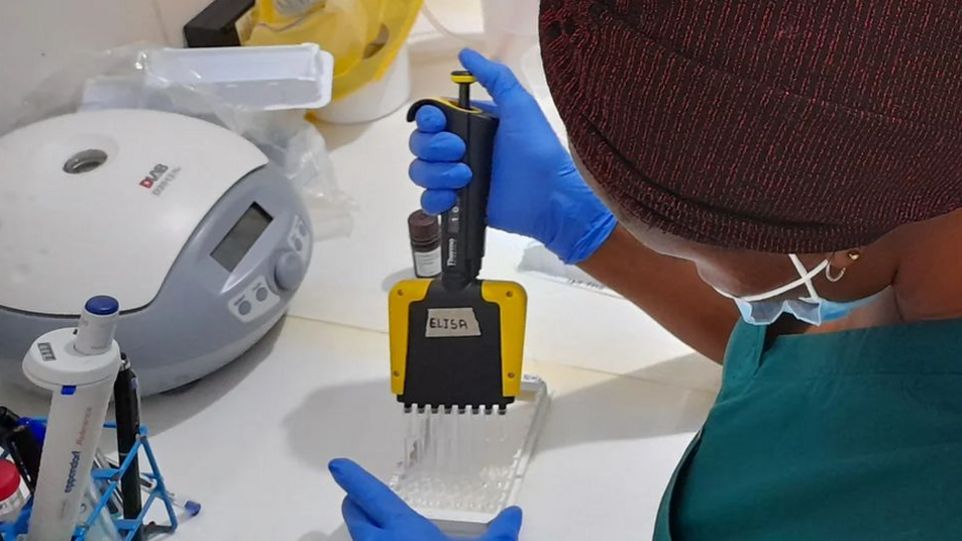 Labormitarbeiterinnen untersuchen Proben in einem medizinischen Labor.