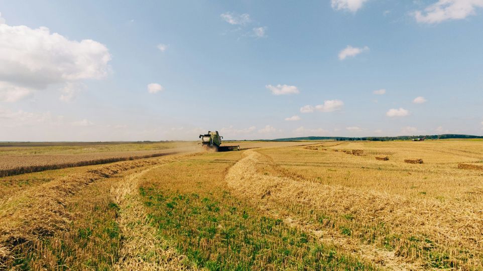 A combine harvester harvesting a vast field