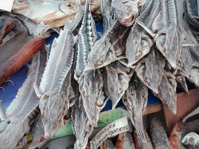 Störe auf einem osteuropäischen Fischmarkt 