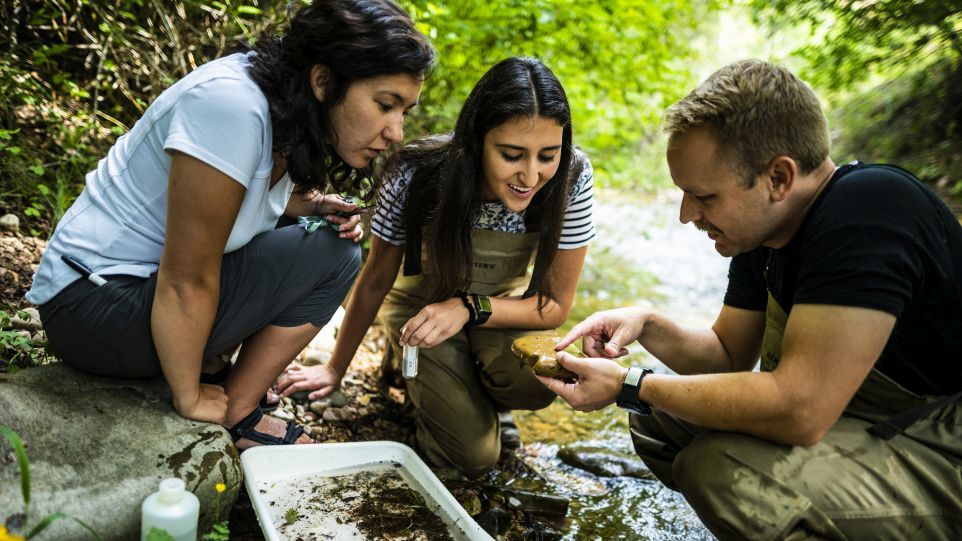Studien-Erstautor Dr. Paul Frandsen (Brigham Young University, Utah, USA) und Studierende beim Sammeln von Proben der nordamerikanischen Köcherfliege. Drei Forschende beim Sammeln von Proben der Köcherfliege in einem Bach