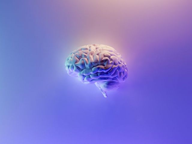 Modell eines Gehirns vor lila Farbverlauf
