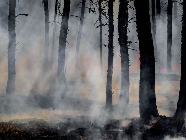 Brennender Wald