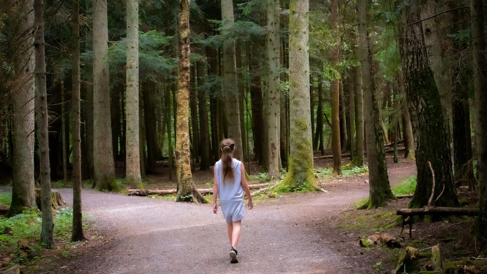 Girl at a fork in the road in the forest