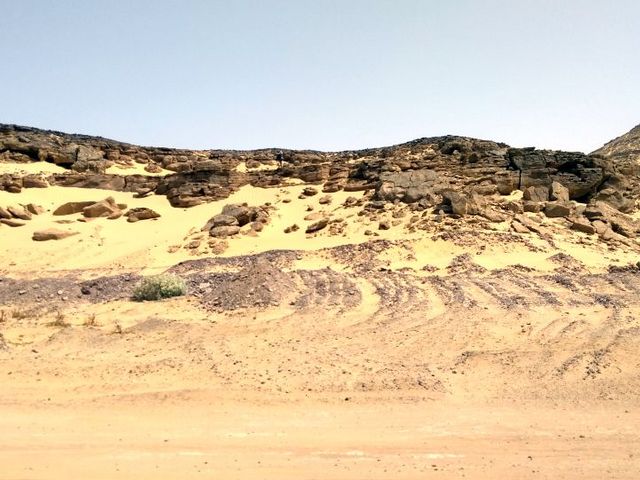 Fossile Flora im Sudan