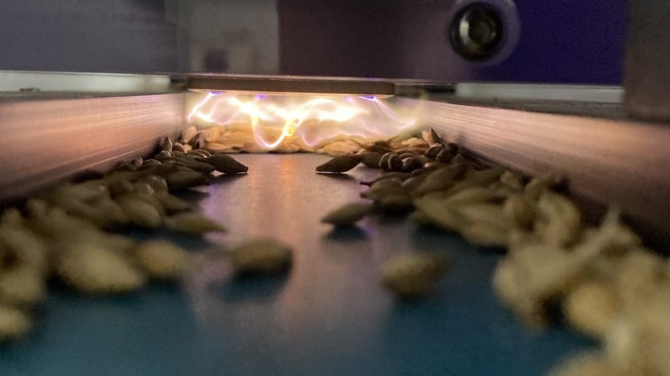 Getreideförderband mit Plasmaquellen Getreideförderband mit Plasmaquellen