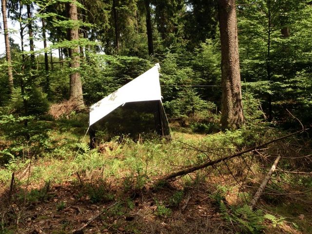 Schutzzelt im Wald