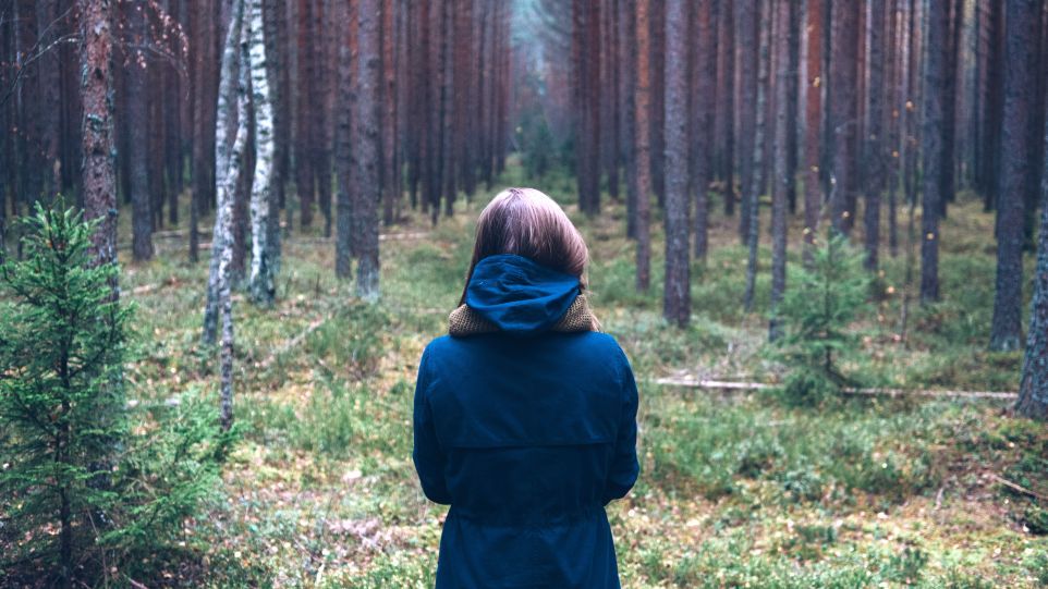 Frau, die auf einen Wald schaut