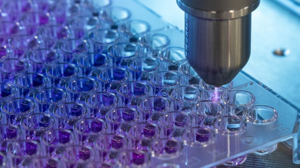 Automatisches Pipettiersystem befüllt eine Labor-Mikroplatte mit Flüssigkeit
