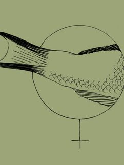 Illustration. Die Schwanzflosse eines Fisches ragt aus dem Kreis des weiblichen Gender-Symbols heraus.