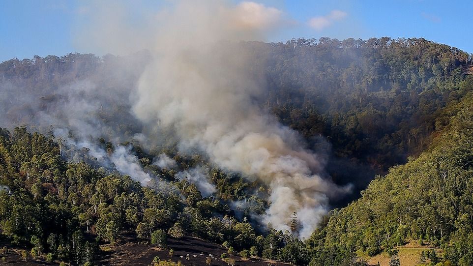 Brennender Wald in Australien