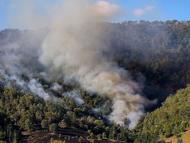 Brennender Wald in Australien