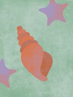 Illustration von einer Seeschnecke und zwei Seesternen