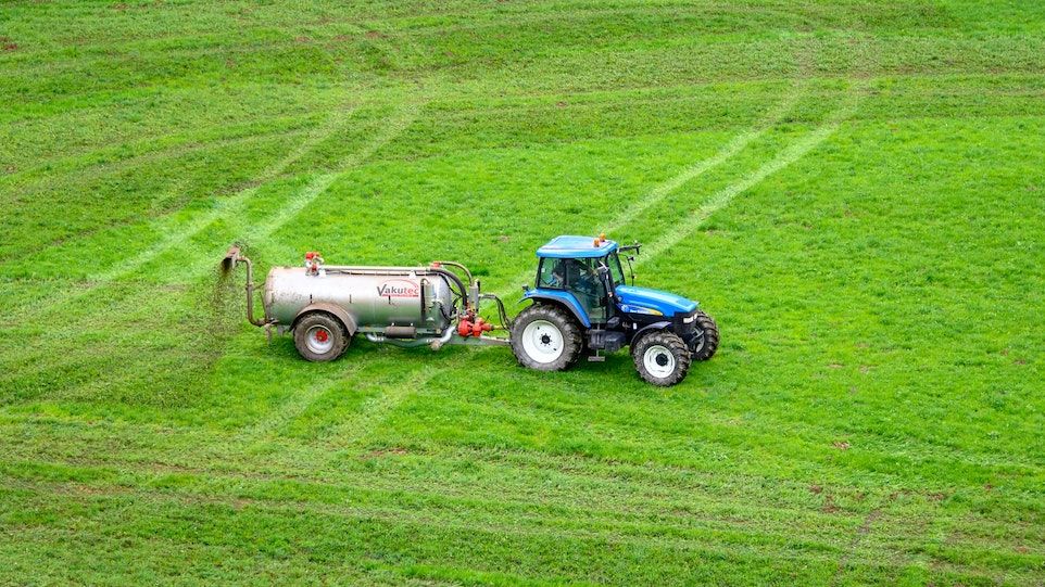 Düngender Traktor auf grünem Feld