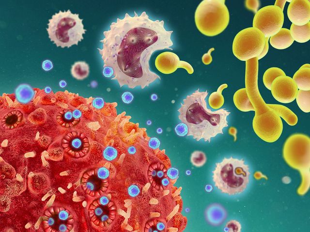 Grafische Darstellung von T-Zellen, Zytokin und Monozyten