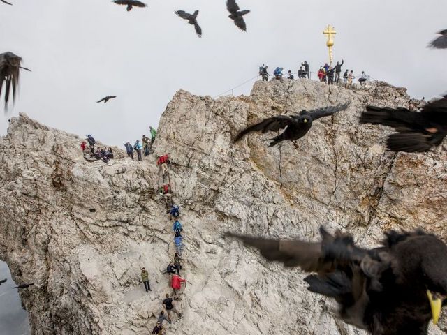 Bergsteiger auf und kurz vor dem Gipfel, im Vordergrund kreisen Krähen