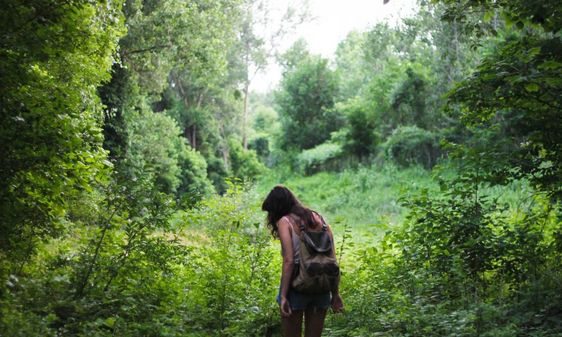 Citizen Scientist Citizen Scientist keeps an eye out for certain plants in the forest