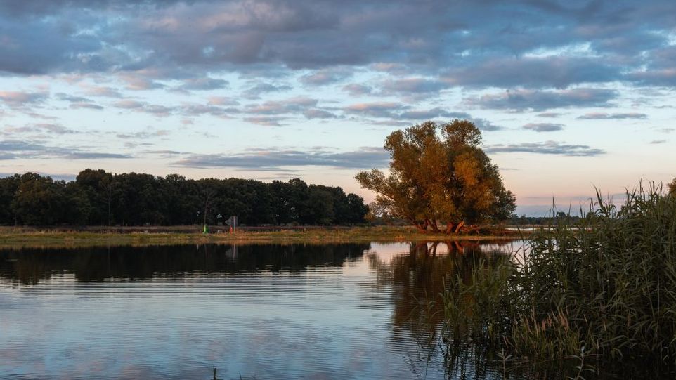The Oder in the evening light