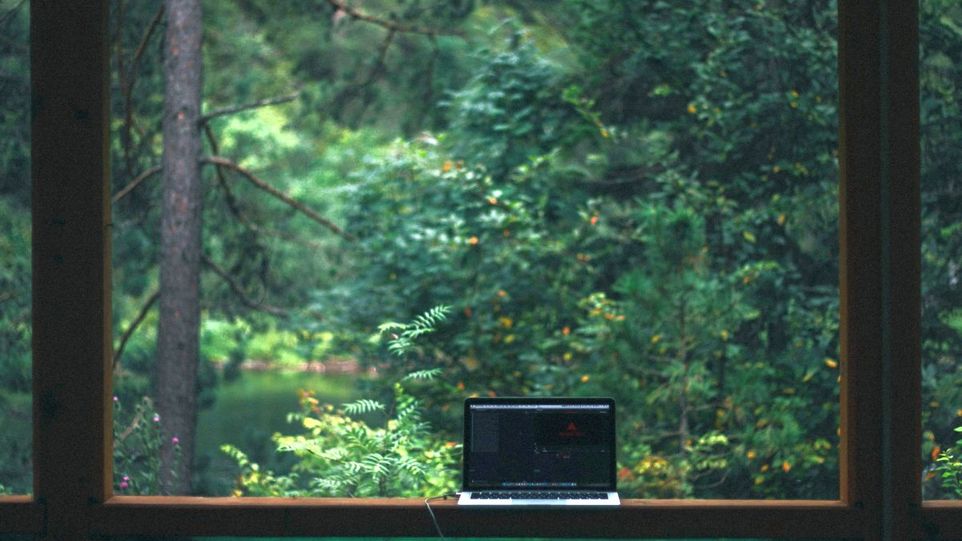 Laptop-Bildschirm vor Fenster mit Blick ins Grüne