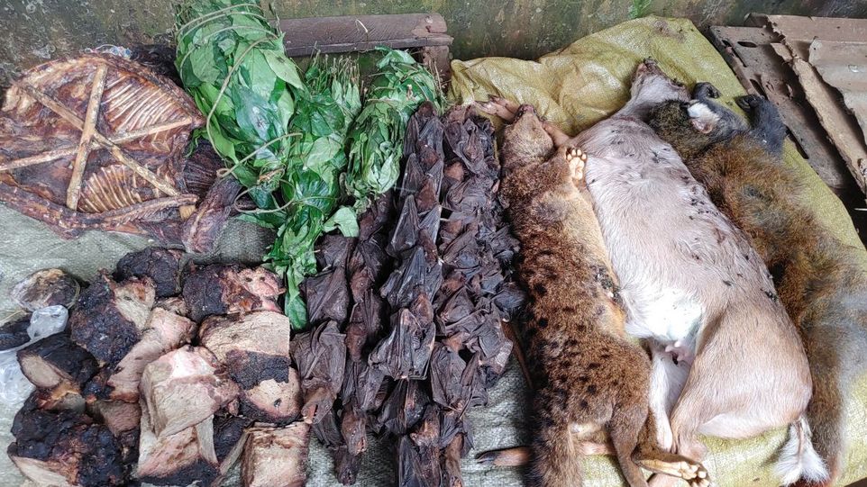 Tote Tiere aufgereiht neben gebratenen Fleischstücken - eine Reihe Fledermäuse neben einem Reh und einem Affen