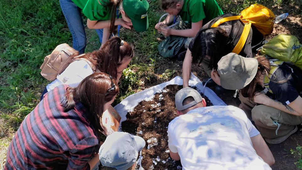 Bioblitz im Botanischen Garten in Tbilisi
