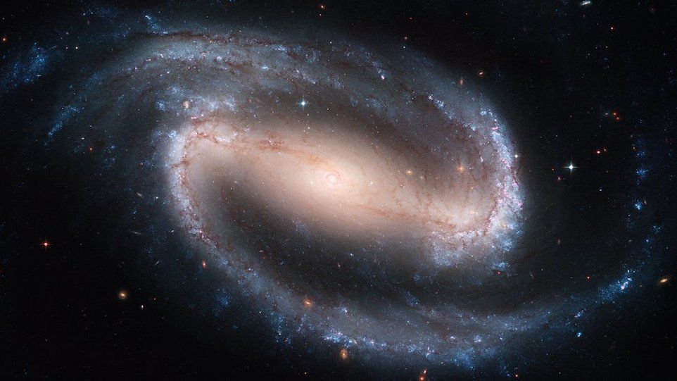Die Balkenspiralgalaxie NGC 1300