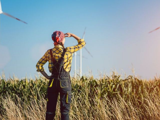 Frau in Latzhose vor einem Getreidefeld, sie schirmt ihre Augen ab, der Blick geht in Richtung einiger Windräder