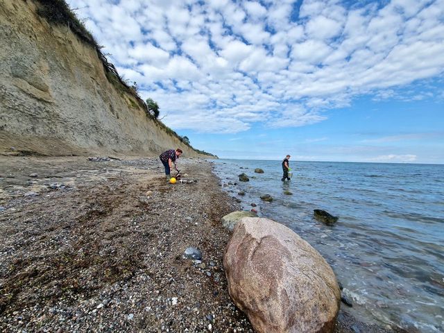 Despite the simplicity of the sampling method—using waders and a bucket—the data analysis method systematically evaluated in the recently published study is among the most advanced methods in marine research. Photo of two people collecting samples on a Baltic Sea beach. One person is still standing on the beach, while the other is wading into the Baltic Sea wearing waders and carrying a bucket.